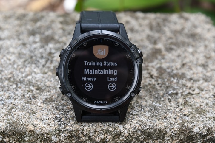 Garmin-Fenix5-Plus-TrainingStatus