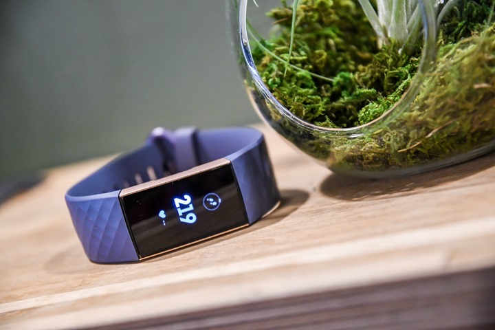 Fitbit-Charge-3-First-Loook-Band